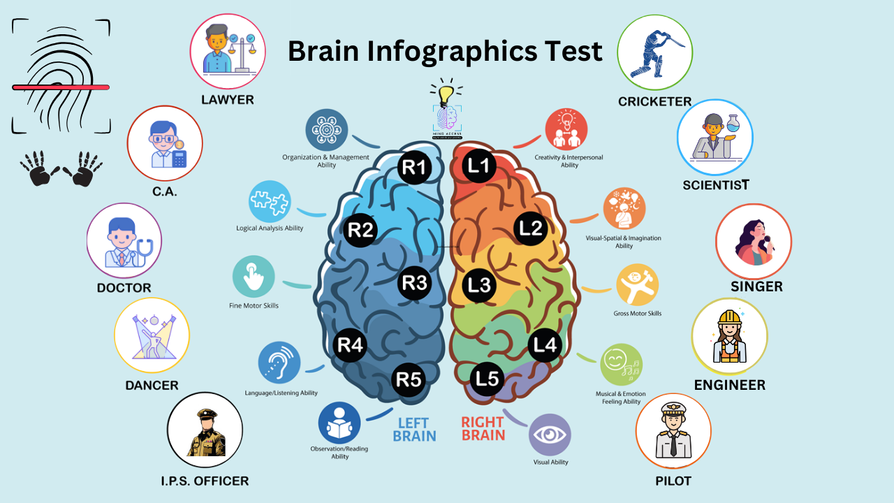 Brian Infographic Test